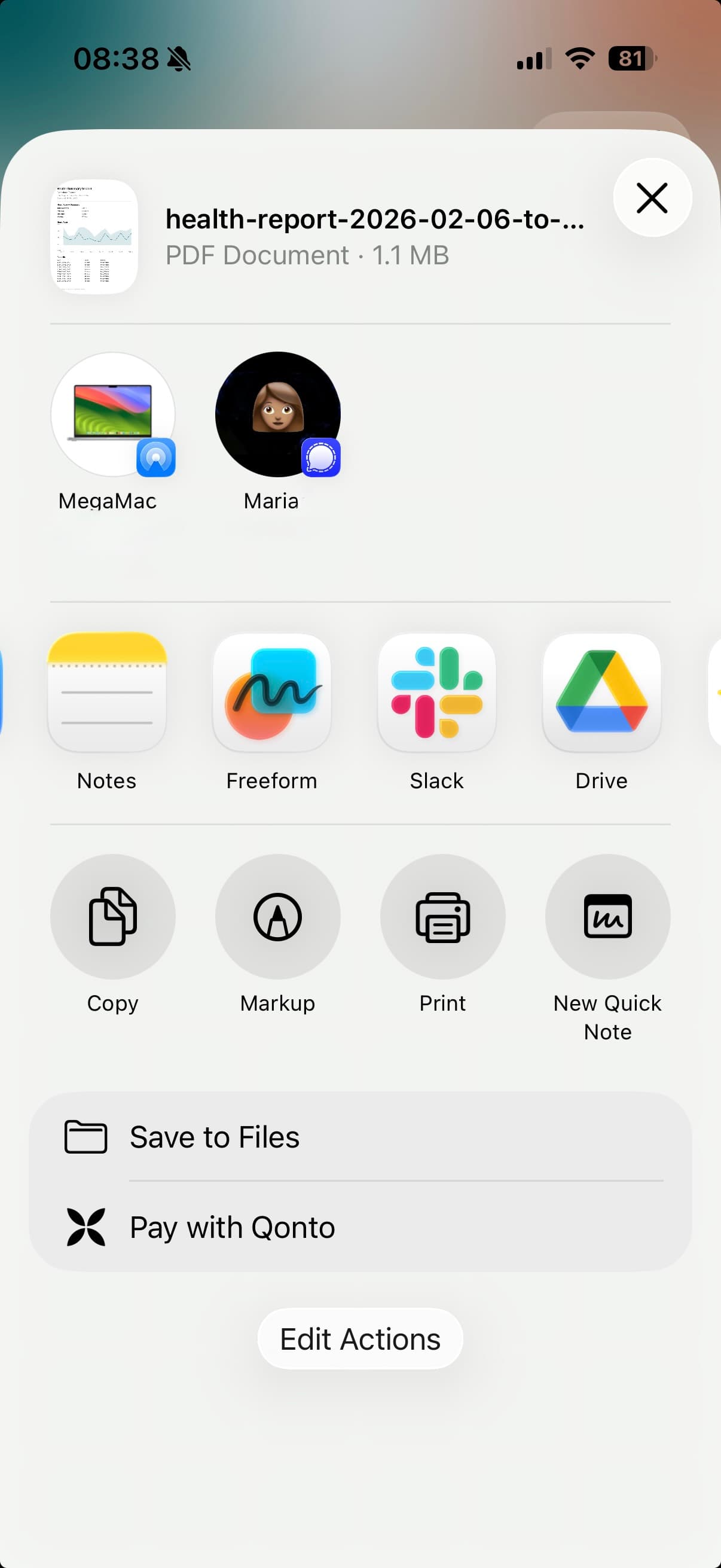 vitalina app - Export & share