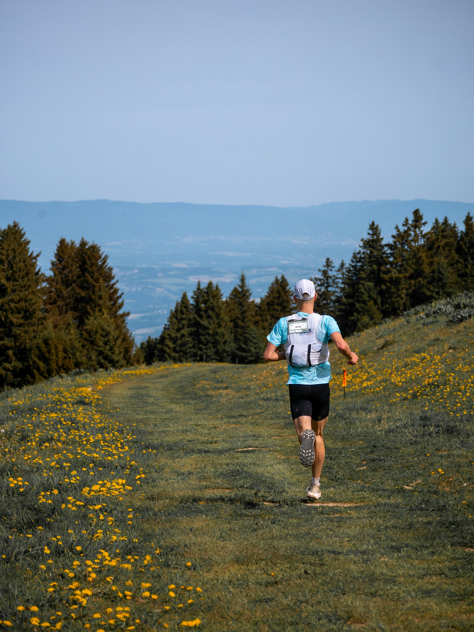 A path winding up a hill surrounded by yellow wildflowers - a clear route through your Apple Health data